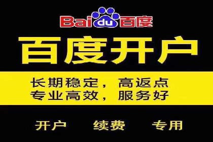 百度推广中的数据监控与优化：案例分享与经验总结